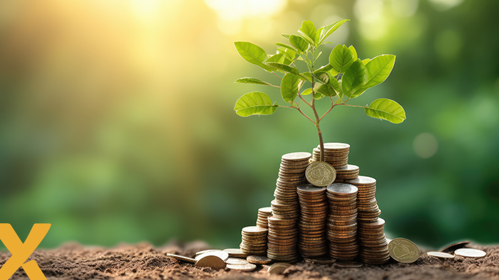 Groene plant die groeit uit stapels euromunten, symbool voor duurzame investering en groene economie.