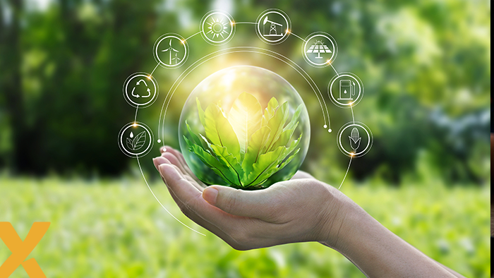 Hand die een groene plant vasthoudt met iconen van duurzame energie en milieuvriendelijke technologieën op de achtergrond.