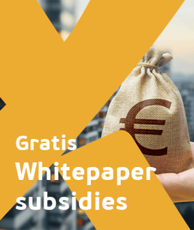 CTA Whitepaper Subsidies