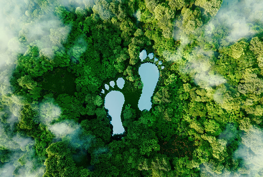 Luchtfoto van een dichtbegroeid bos met twee meren in de vorm van menselijke voetafdrukken, als symbool voor ecologische voetafdruk en duurzaamheid.